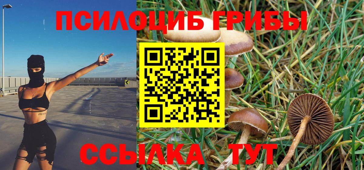 Псилоцибиновые грибы ЛСД  Вход с VPN  Киров 